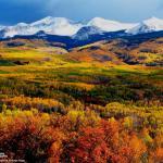 Fresh Bite Restaurant